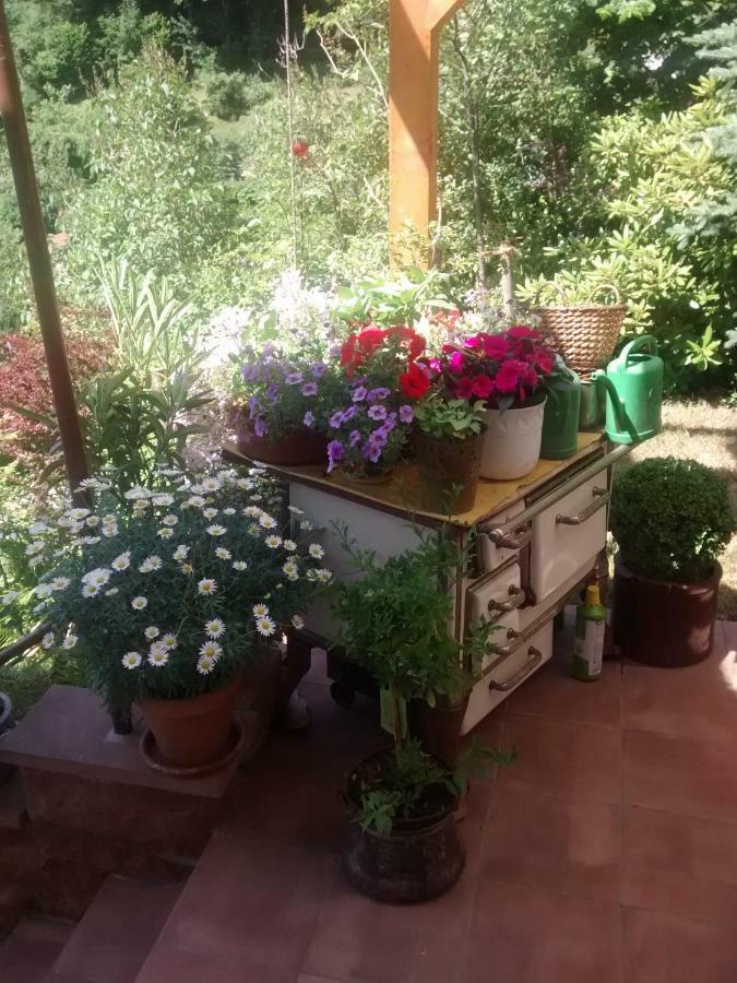 Appartement Casa La Collina Delle Ginestre à Eberbach  Extérieur photo