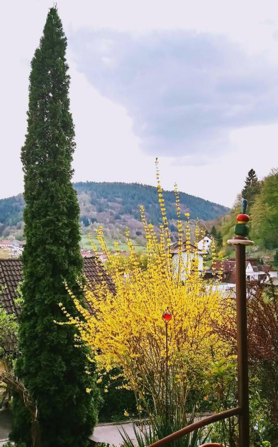 Appartement Casa La Collina Delle Ginestre à Eberbach  Extérieur photo