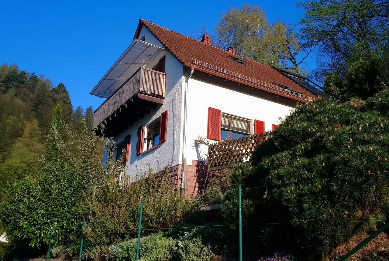 Appartement Casa La Collina Delle Ginestre à Eberbach  Extérieur photo